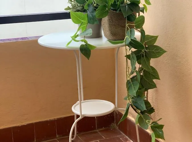 Apartmento com 1 dormitório